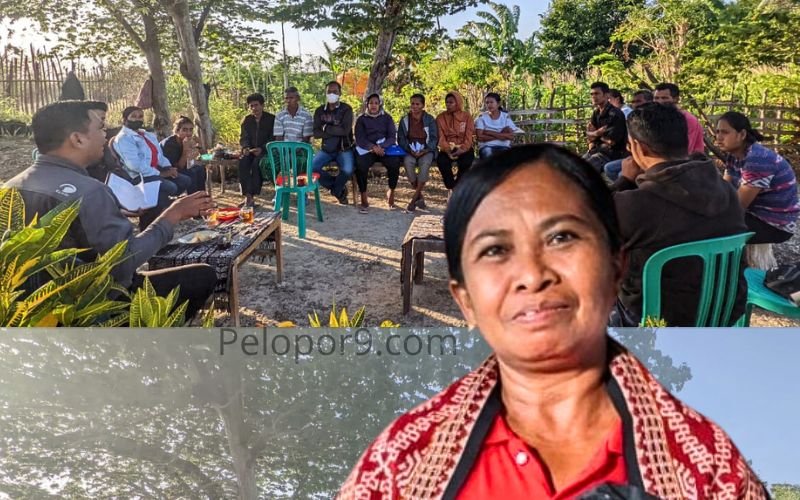 Pakan Penentu Keberhasilan Beternak Babi, Pemerintah Diminta Perhatikan Peternak di Desa Eimadake