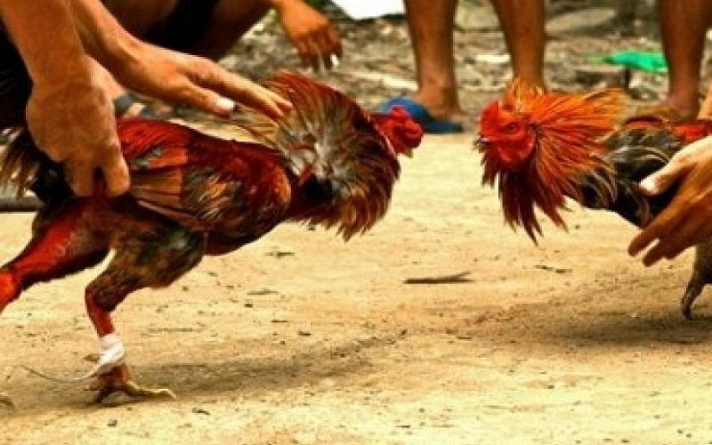 Foto Pdt Loni Radja Gah: Dukung Polisi Berantas Judi Secara Adil di Sabu Raijua