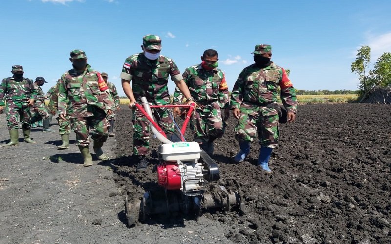 Foto Babinsa Jajaran Kodim 1604/Kupang Olah Lahan Bercocok Tanam 