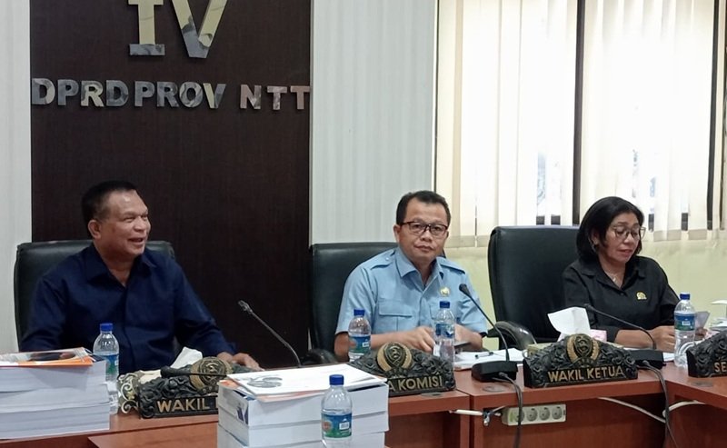 Pemprov dan DPRD NTT Dukung PT PLN Buka Jaringan Listrik Area Hutan ke Desa Terpencil