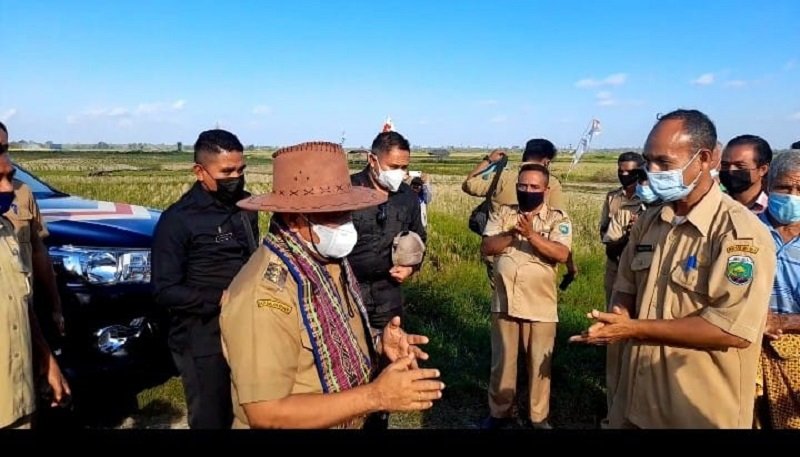 Foto Olah Lahan Sawah di Io Kufeu Malaka Perlu Dipertahankan 