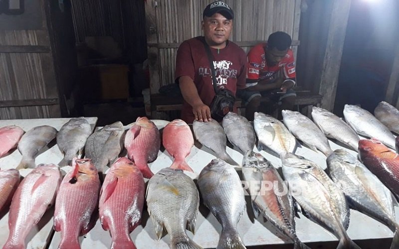 Foto Pedagang Ikan Pantai Kelapa Lima Diharapkan Perhatikan Mutu   