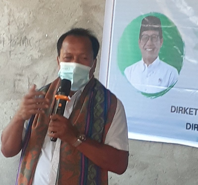 Foto Investasi Garam di Malaka Disusul Kemendes PDTT dan Pemkab Malaka Gelar Vokasi Tanam Mangrove Untuk Tingkatkan Ekonomi Masyarakat 