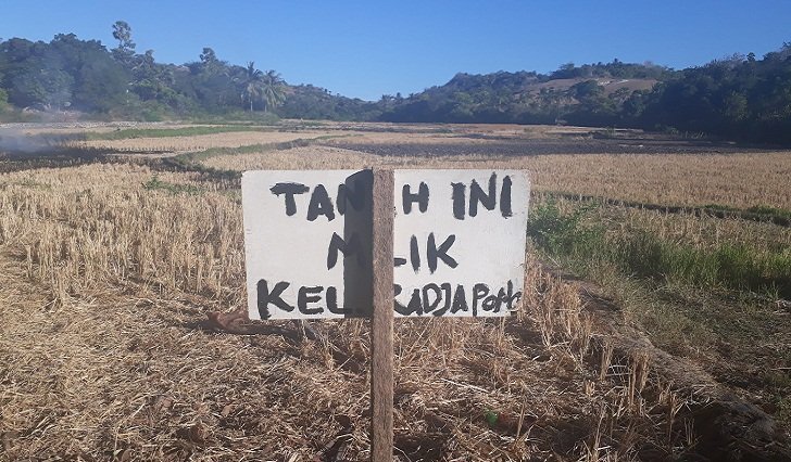 Foto Masalah Tanah Luikapa, Dua Suku di Sabu Raijua Saling Klaim 