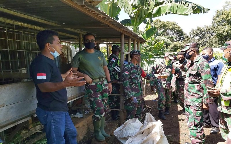 Foto TNI Peduli Inflasi: Kodim 1604/Kupang Belajar Menanam Tanaman Hortikultura  