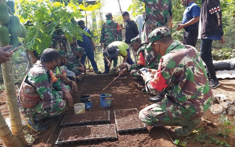 Foto TNI Peduli Inflasi: Babinsa Kodim 1604/Kupang Semai Bibit Tanaman Hortikultura